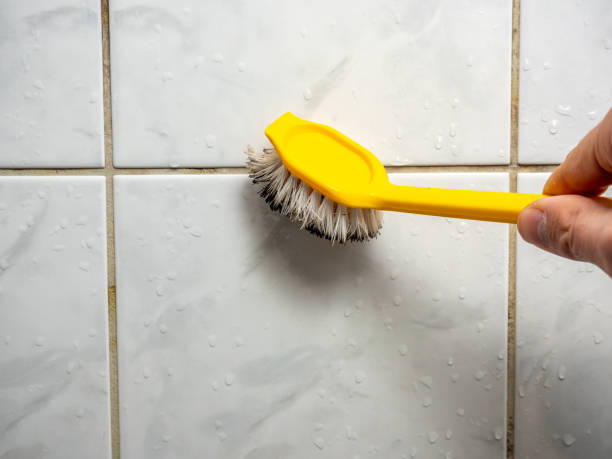Best Professional Mold Removal  in Cherry Grove, OH
