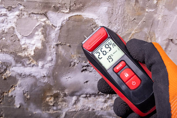 Professional Mold Removal in Cherry Grove, OH