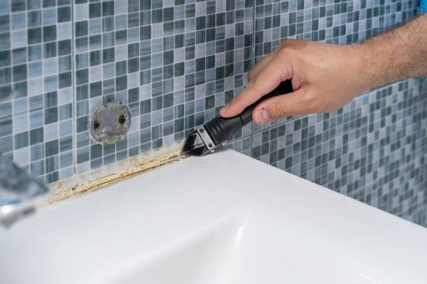 Best Mold Removal Company Near Me  in Cherry Grove, OH