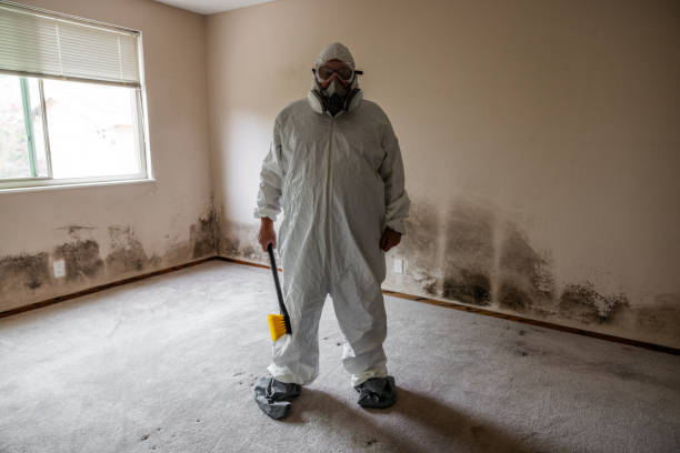 Mold Removal and Inspection in Cherry Grove, OH